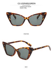 2020 New sunglasses (colour: Leopard/Dark Green)